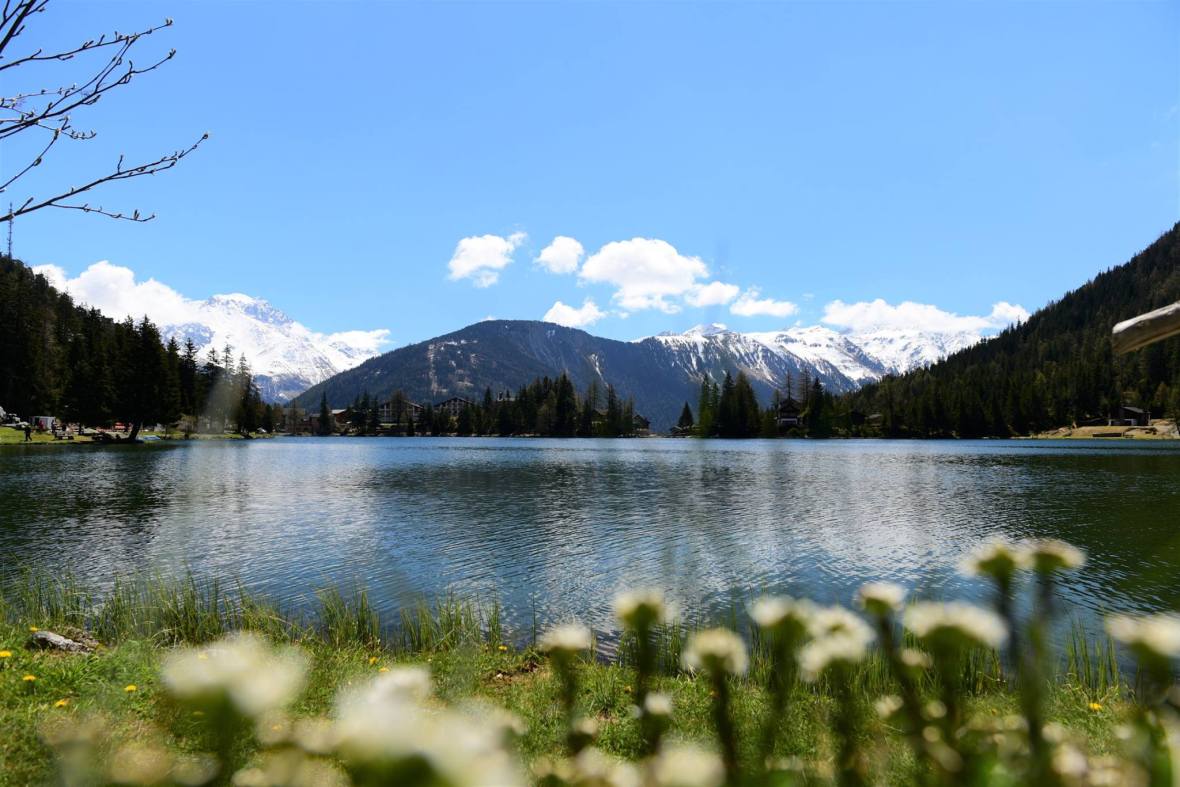 18451672_1790084561320534_3440436881603792965_o