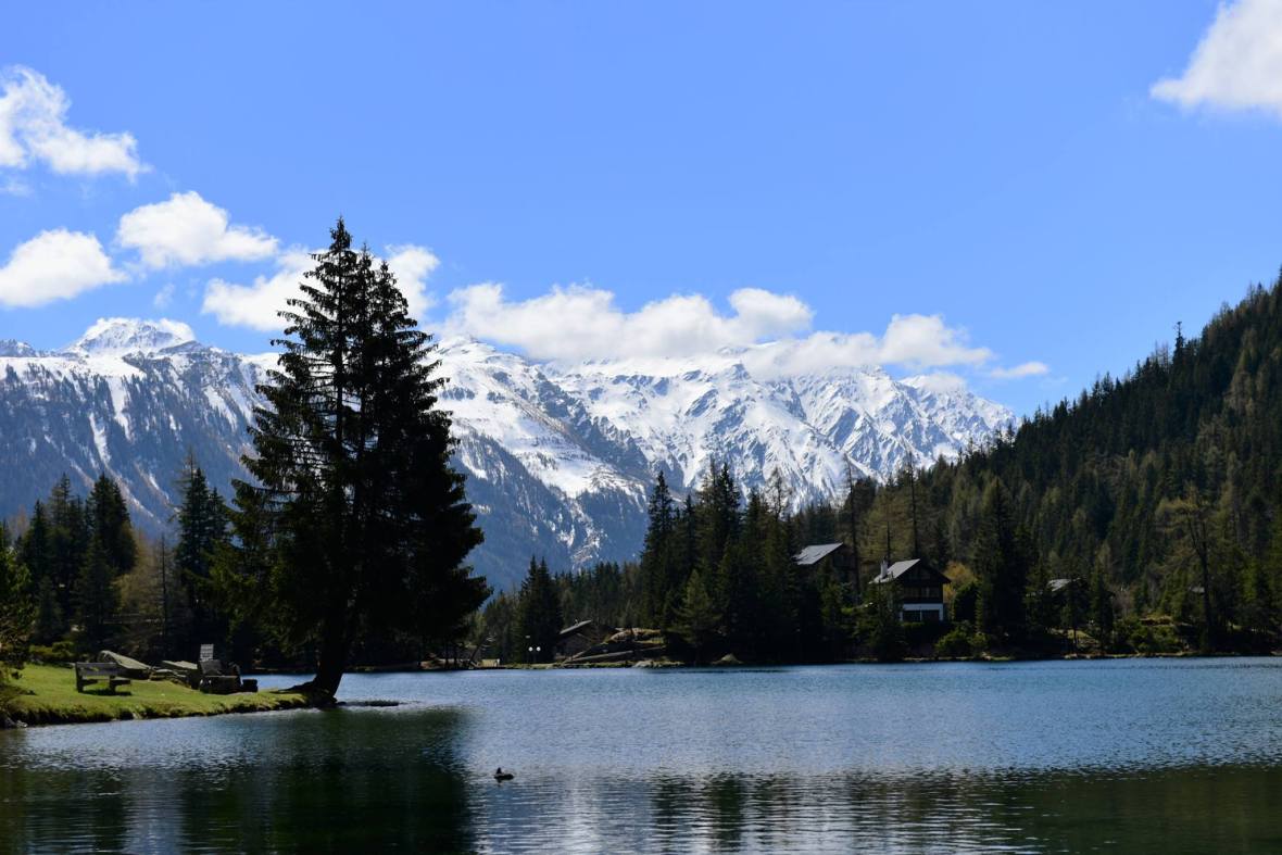 18517955_1790084737987183_8973718732852133679_o