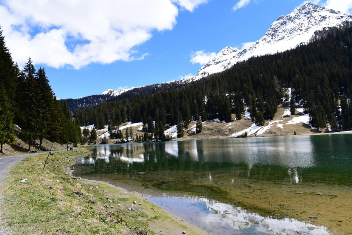 18768596_1798072450521745_3532396861903684772_o