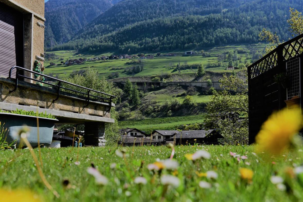 18891705_1800101886985468_1907061258083498309_o