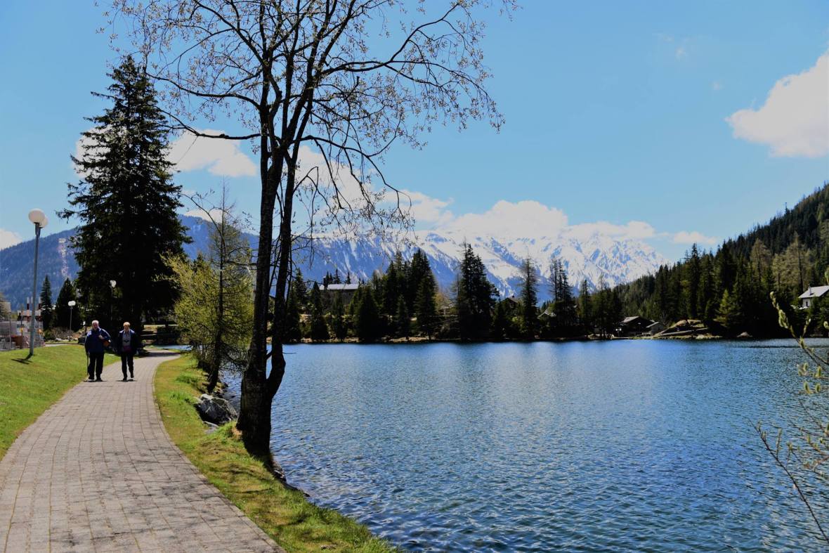 18922881_1800117156983941_5552287683990727643_o