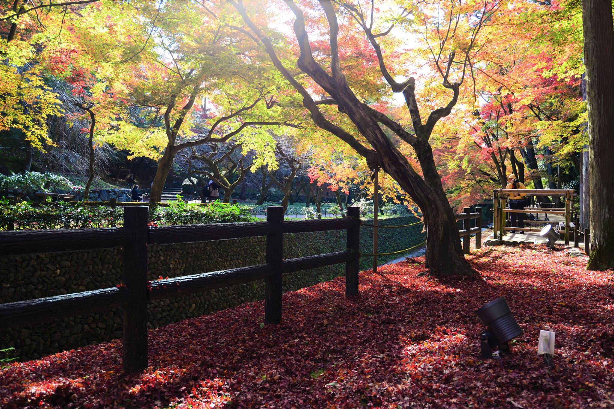 19223035_1808806912781632_1141584820866304941_o