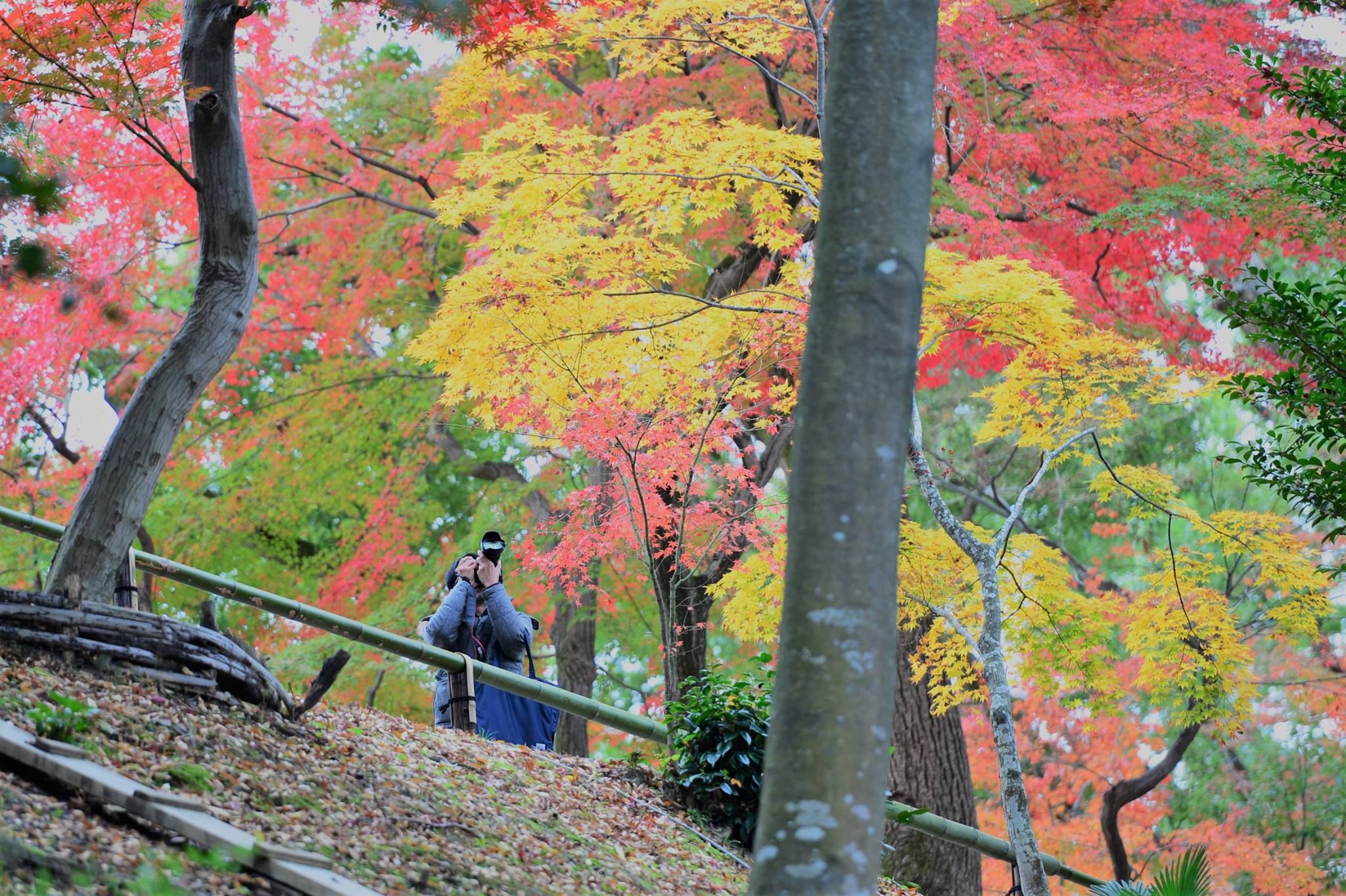 19237978_1808815722780751_122206945476939675_o