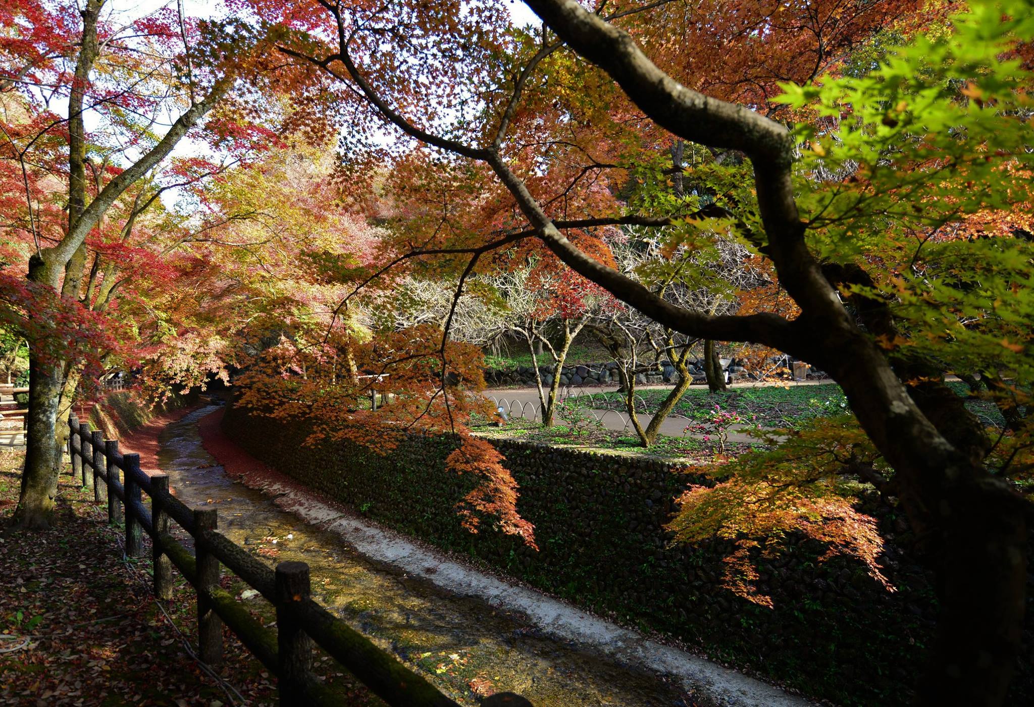 19238096_1808806852781638_1420238398957676079_o