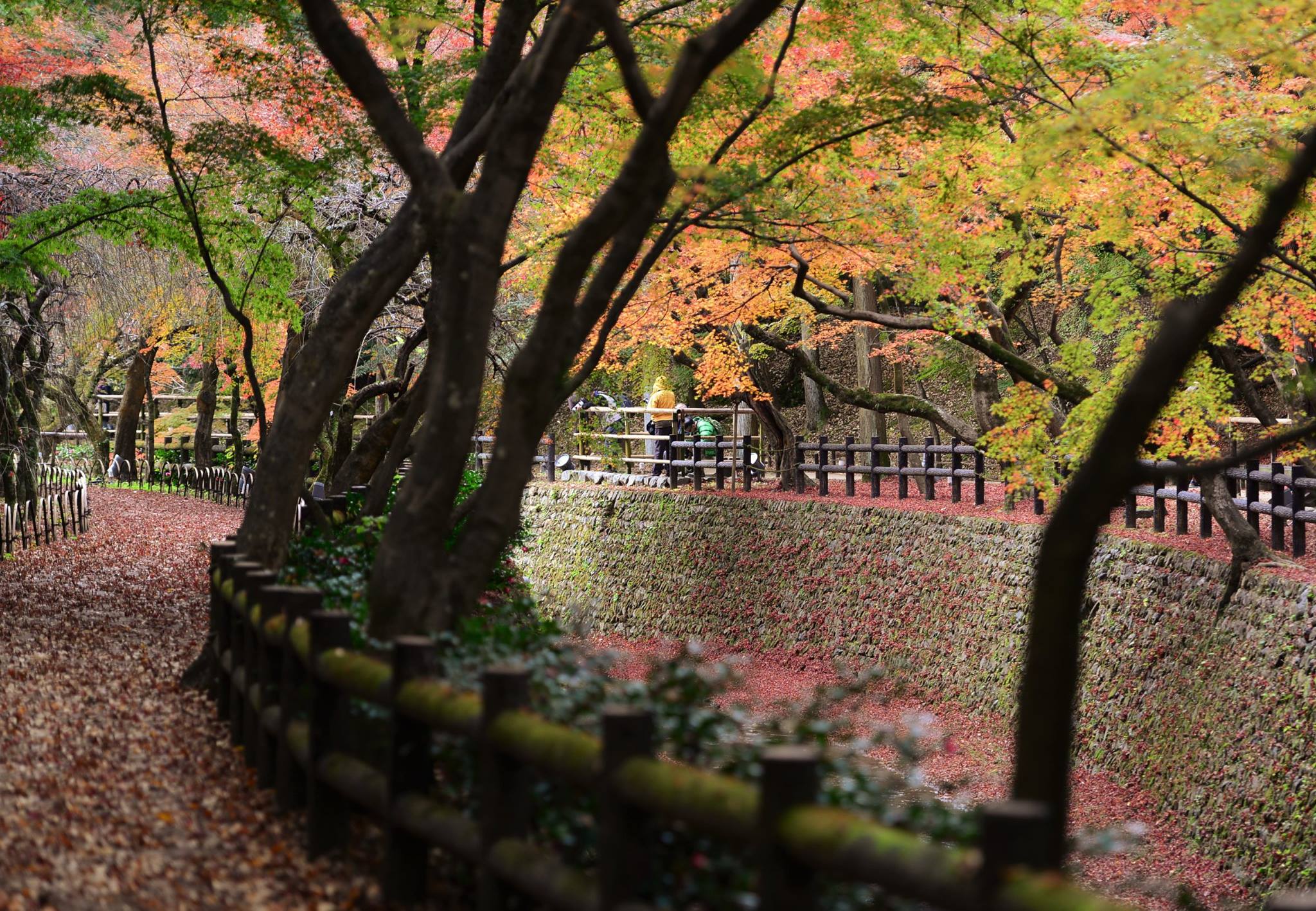 19243140_1808807156114941_1250262135301288623_o