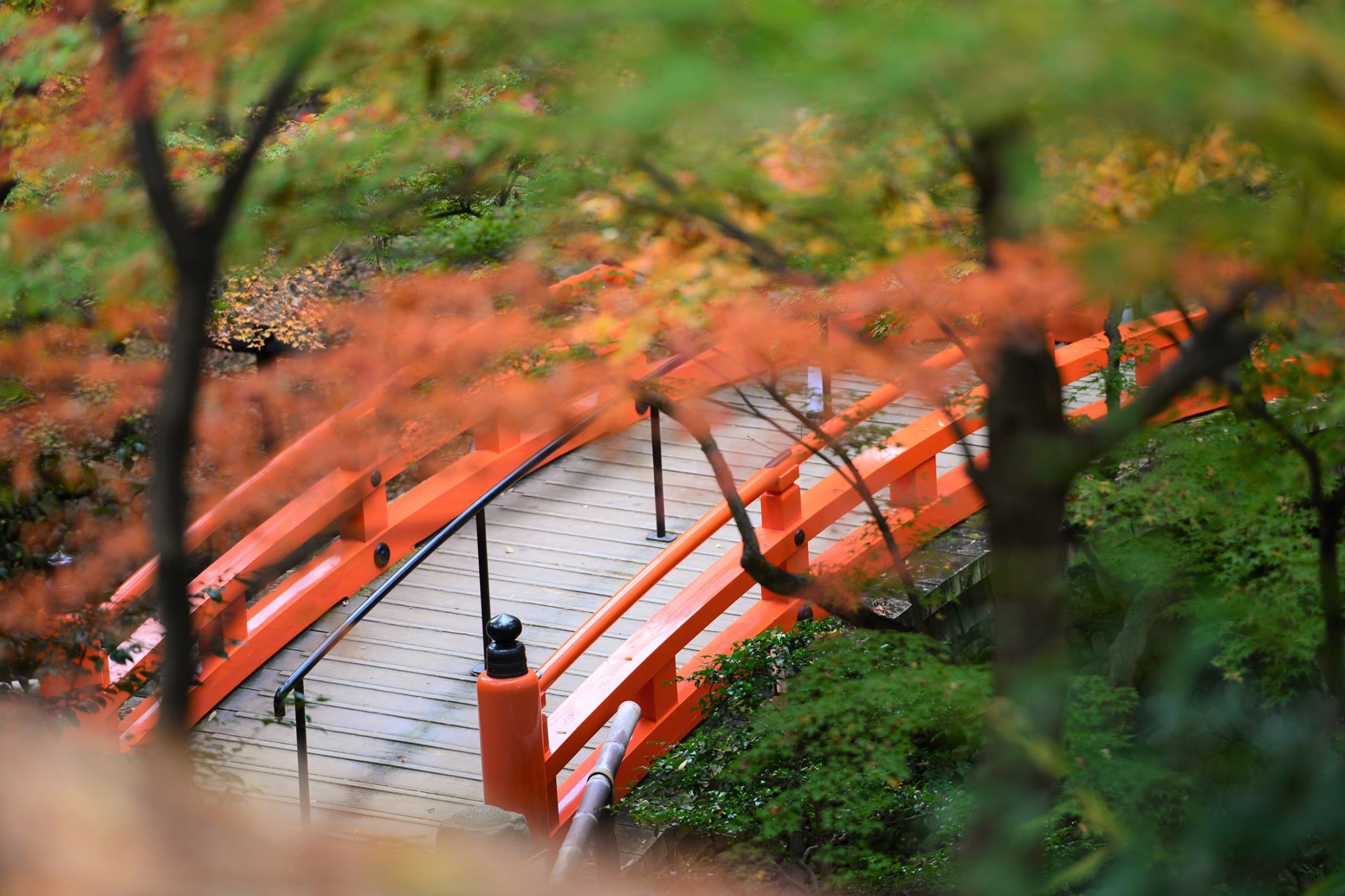 19243286_1808806726114984_8952661503792290288_o