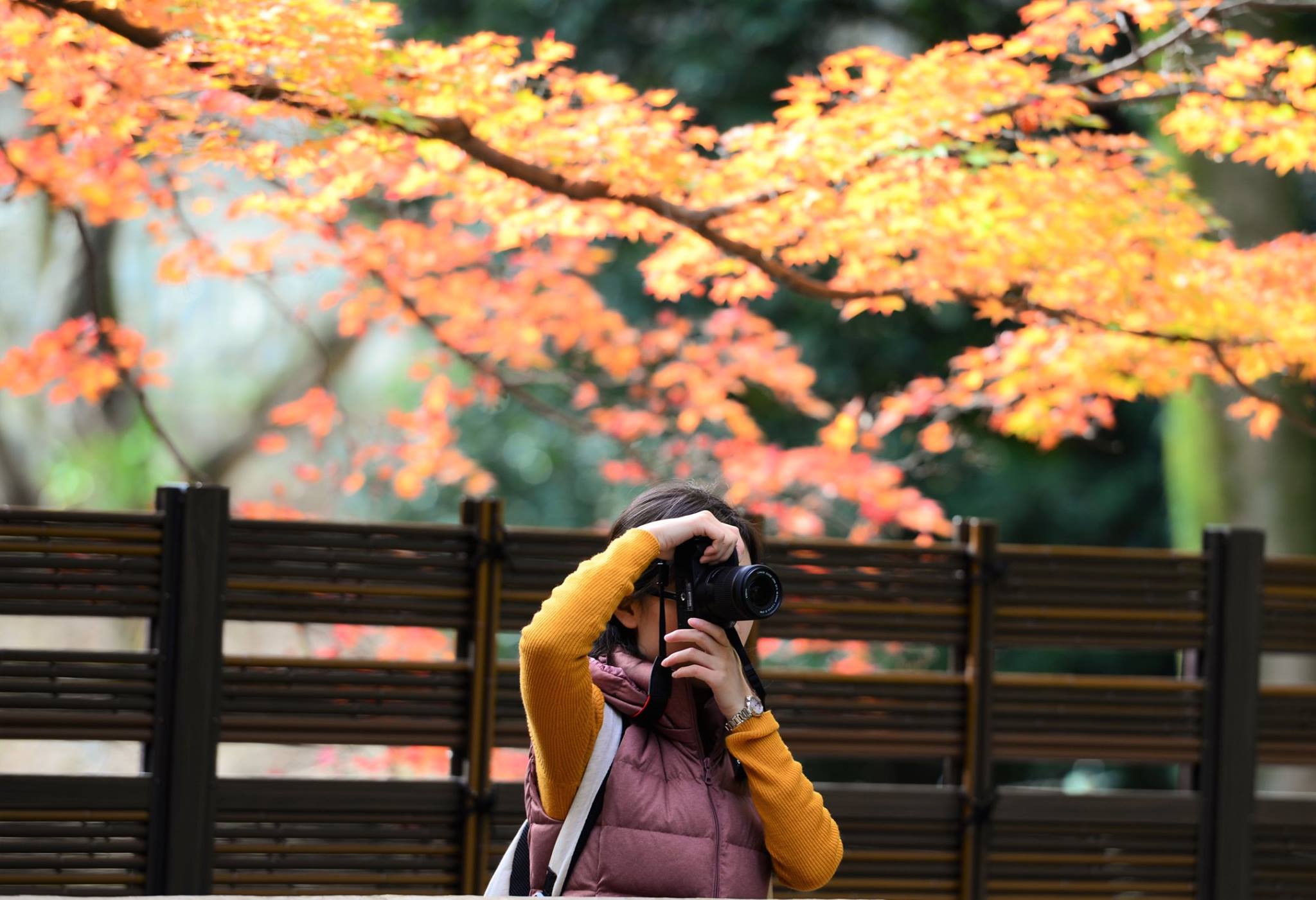 19388447_1808806966114960_1817631413245978751_o