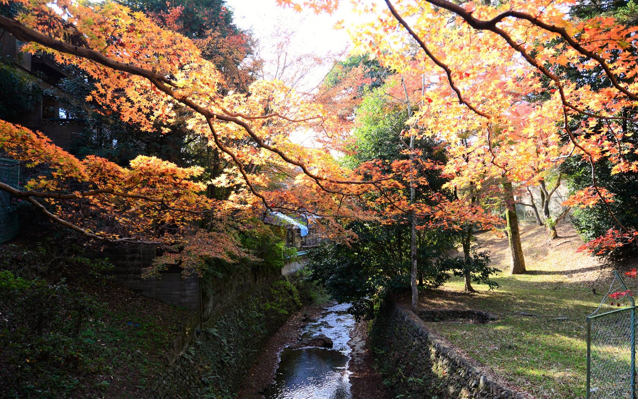 19388556_1808806796114977_8626937300529051281_o