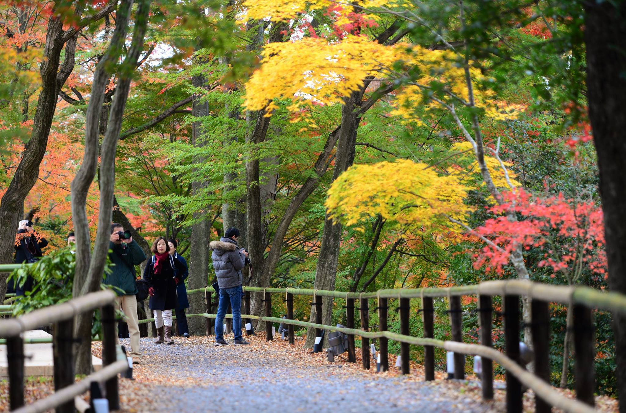 19390564_1808806696114987_4027936106632631871_o