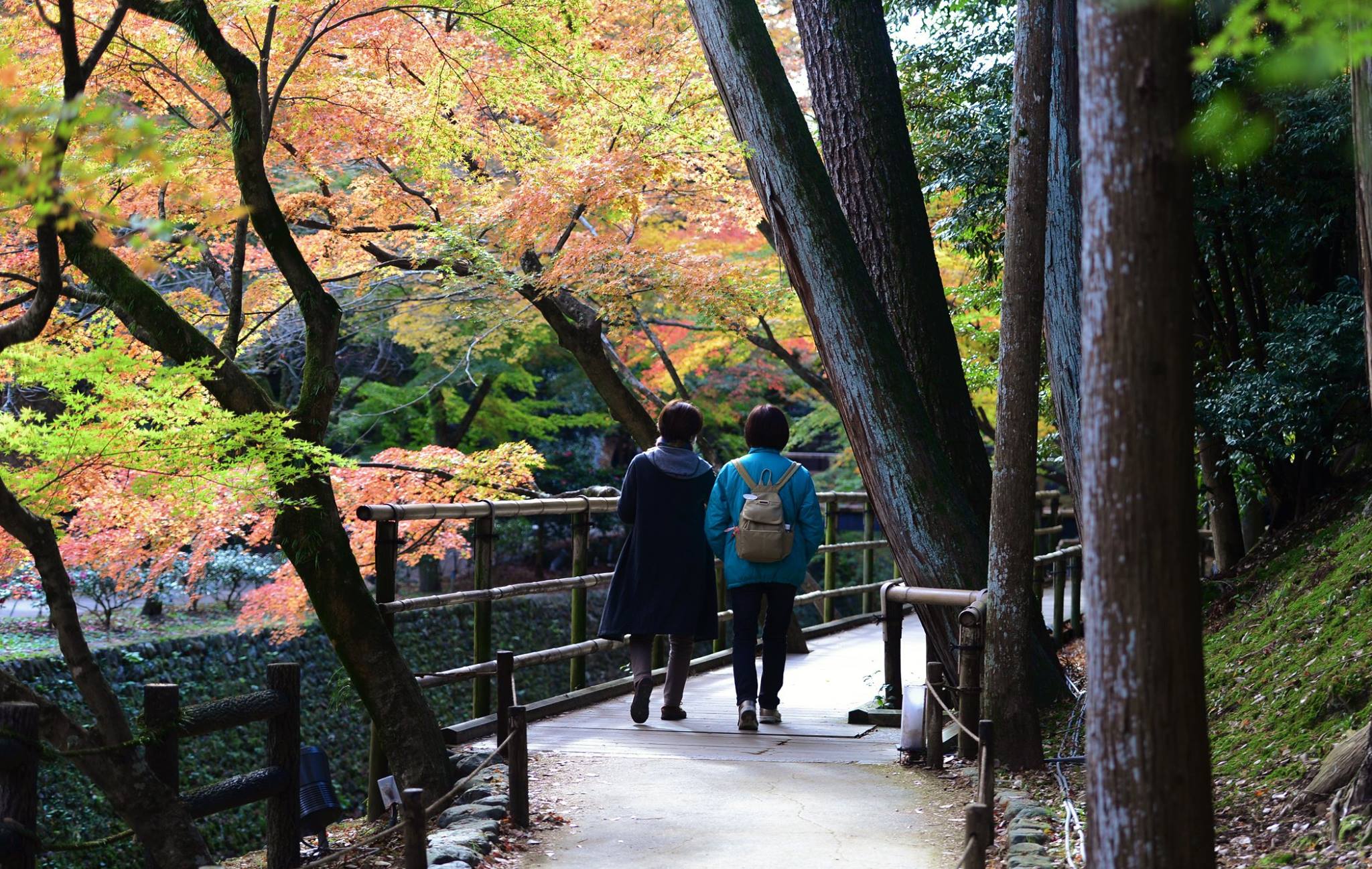 19390853_1808807222781601_7129888445024421778_o