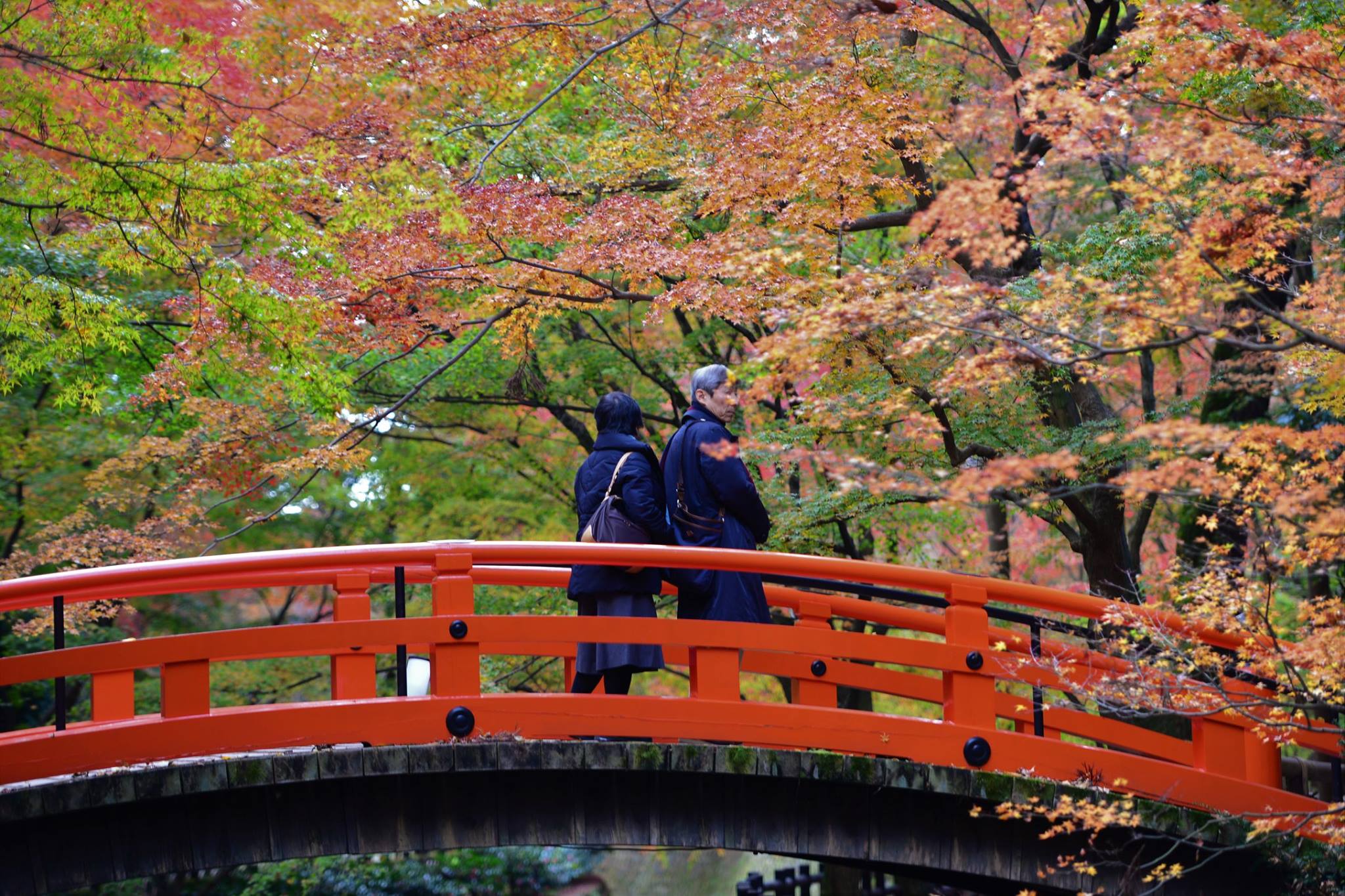 19400484_1808807196114937_1500229282785335324_o