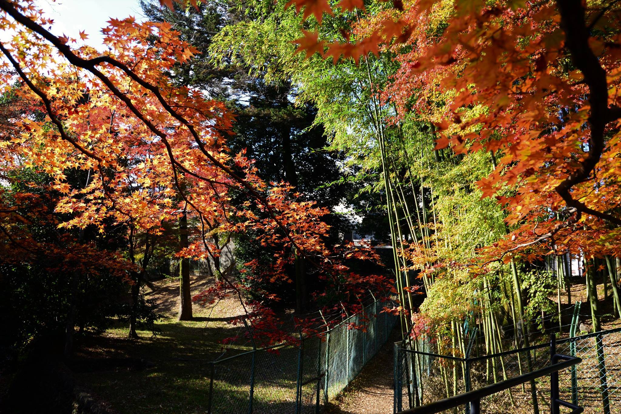 19402044_1808806832781640_3827477790647973763_o