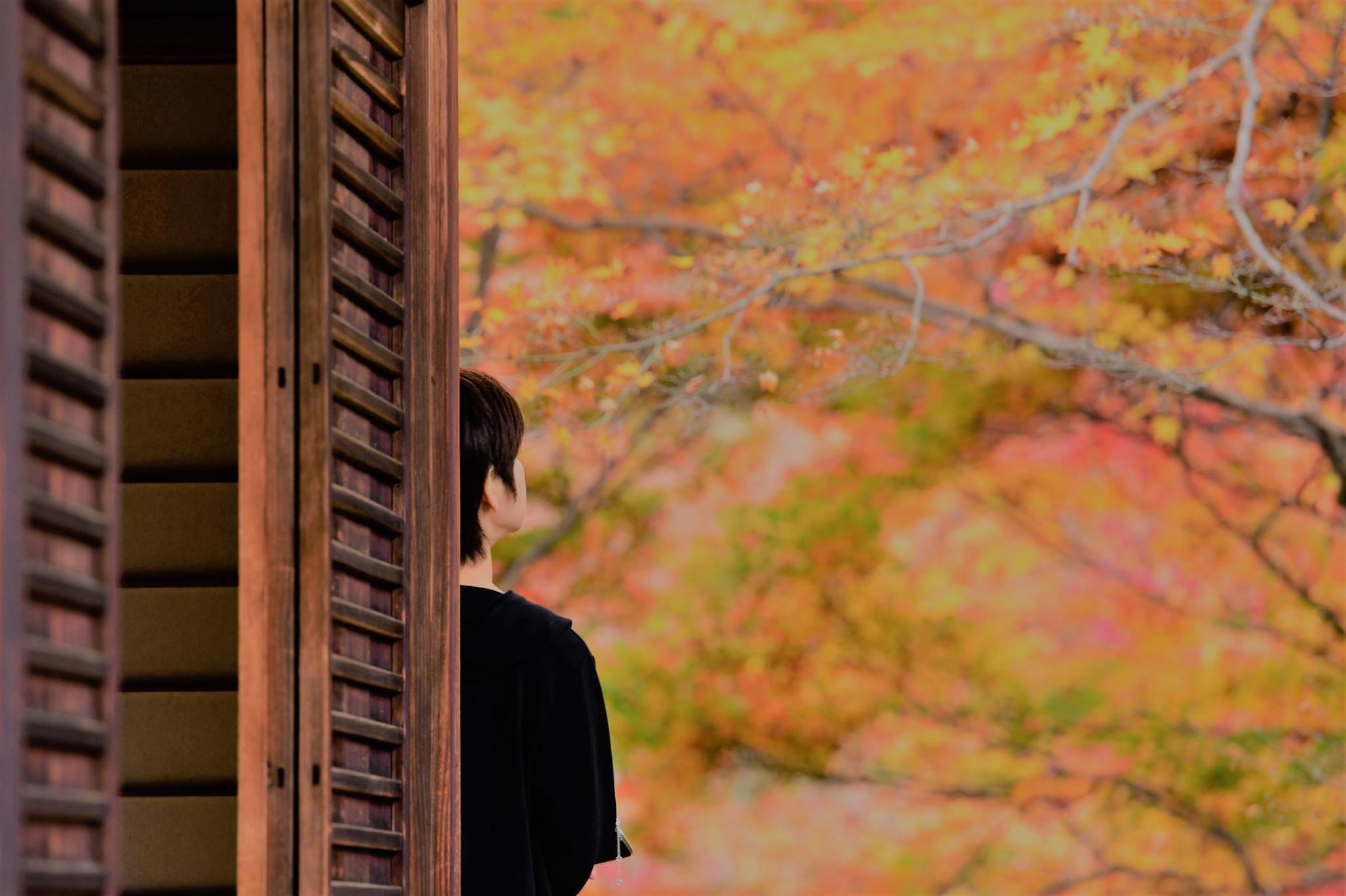 19452887_1813852248943765_2119030481488138411_o