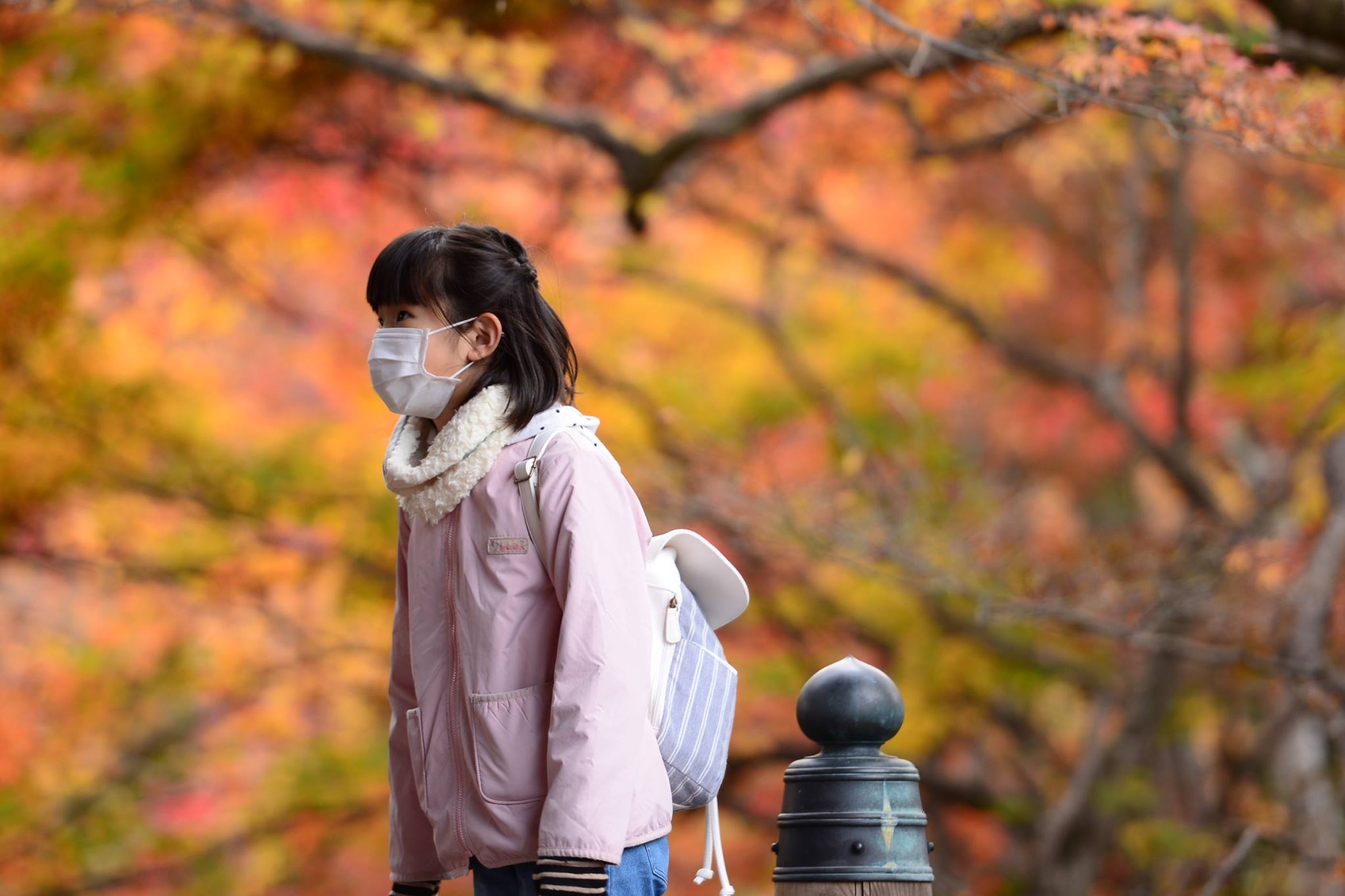 19452903_1813852148943775_4585355009790083113_o