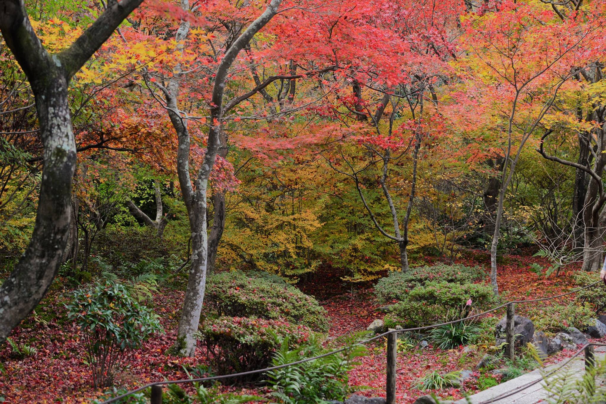 19452950_1813852092277114_5338455642809696738_o