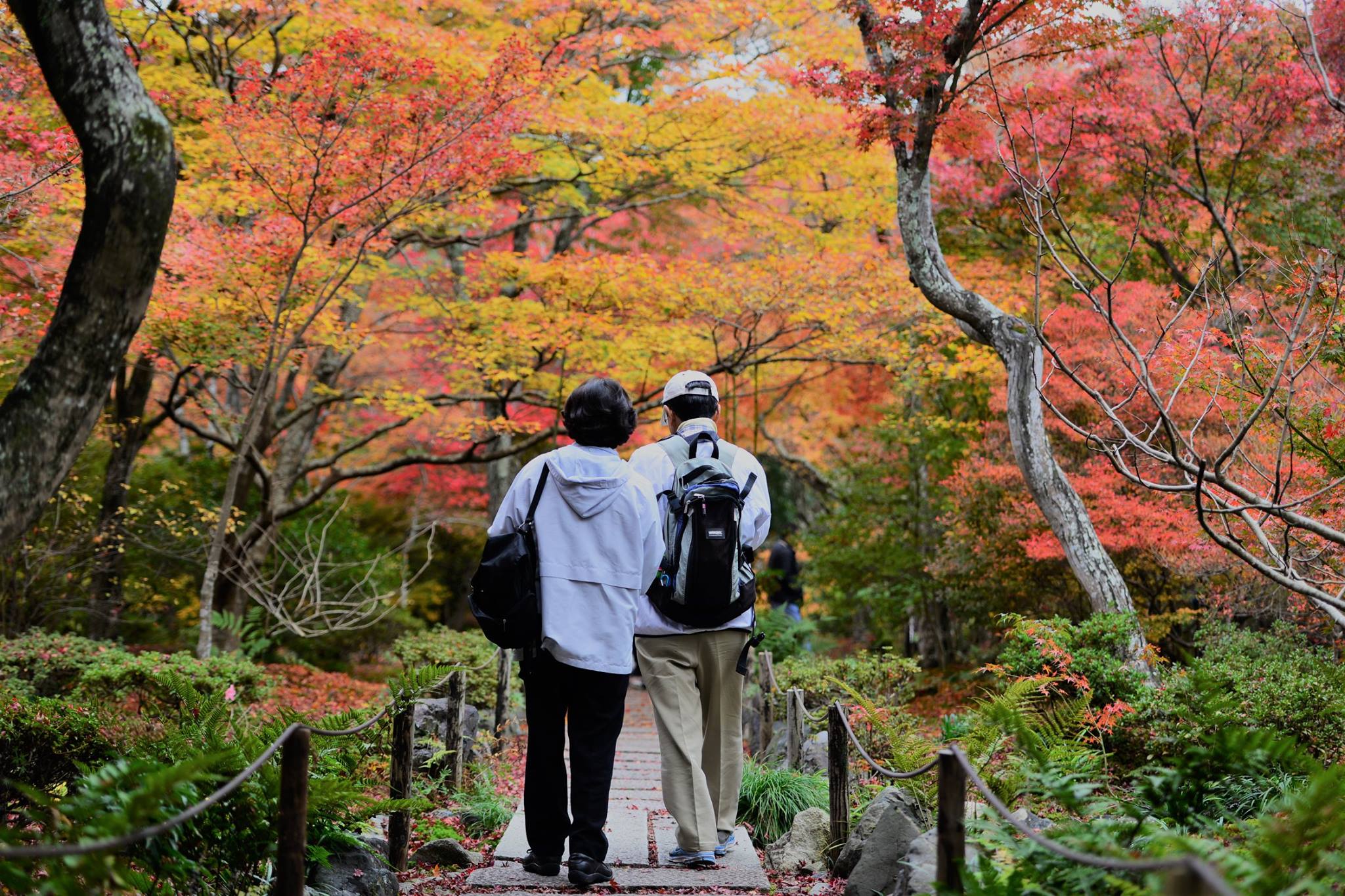 19453164_1813851628943827_2549912537533928592_o