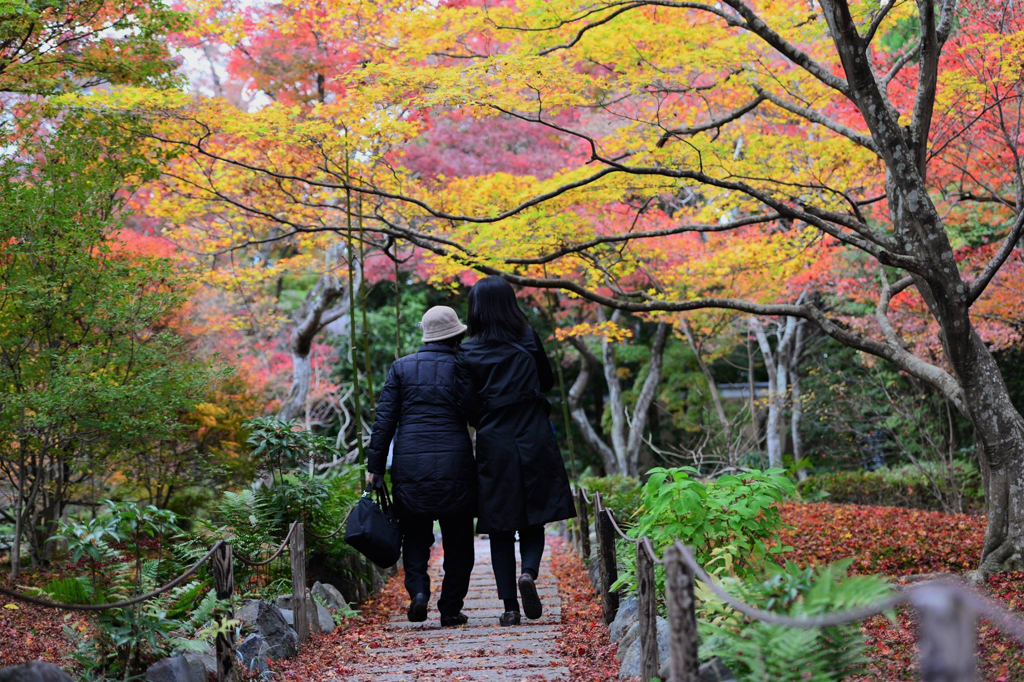 19466247_1813851785610478_4933506045047979188_o