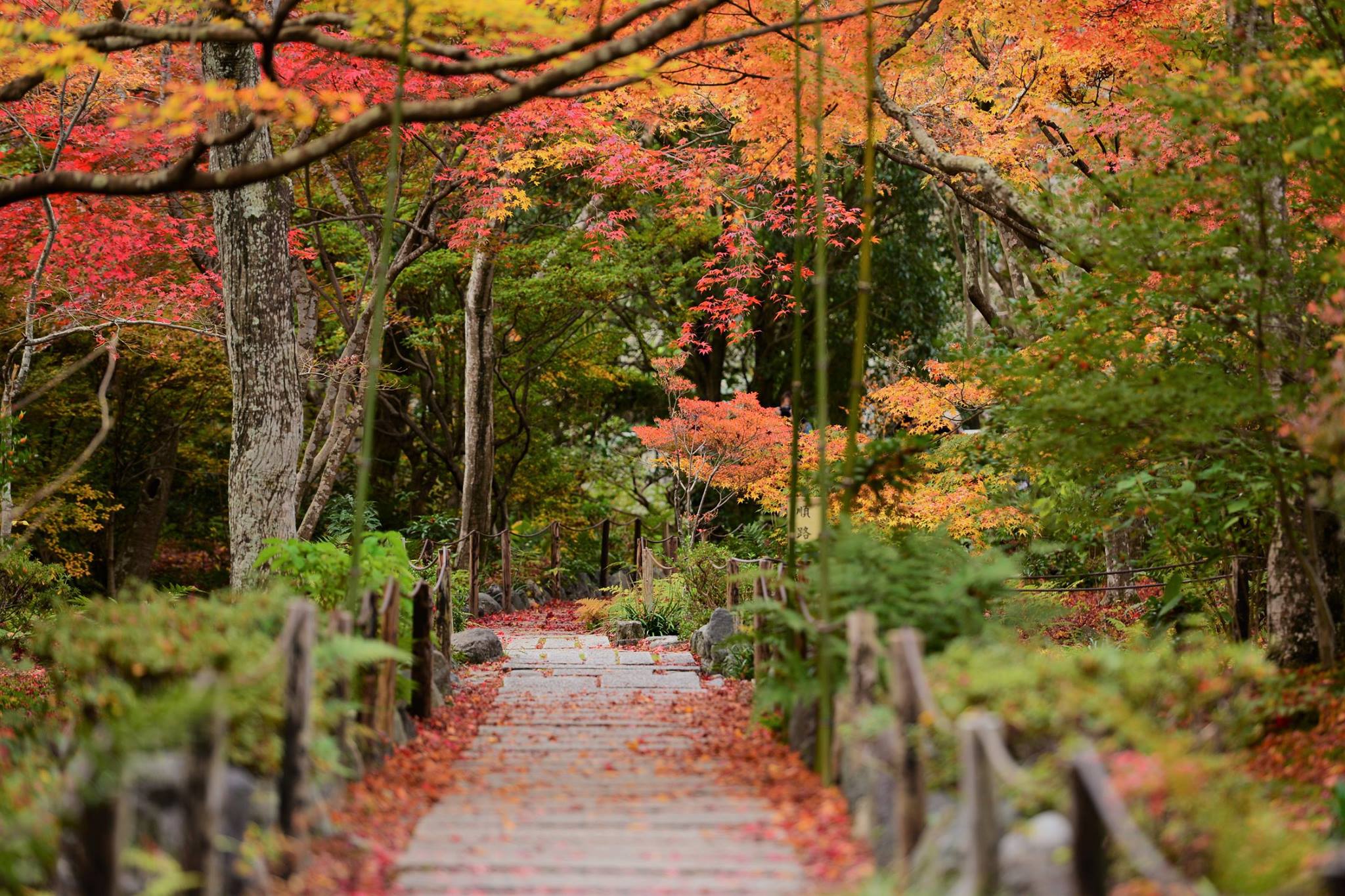 19466473_1813852015610455_7317955457572735313_o