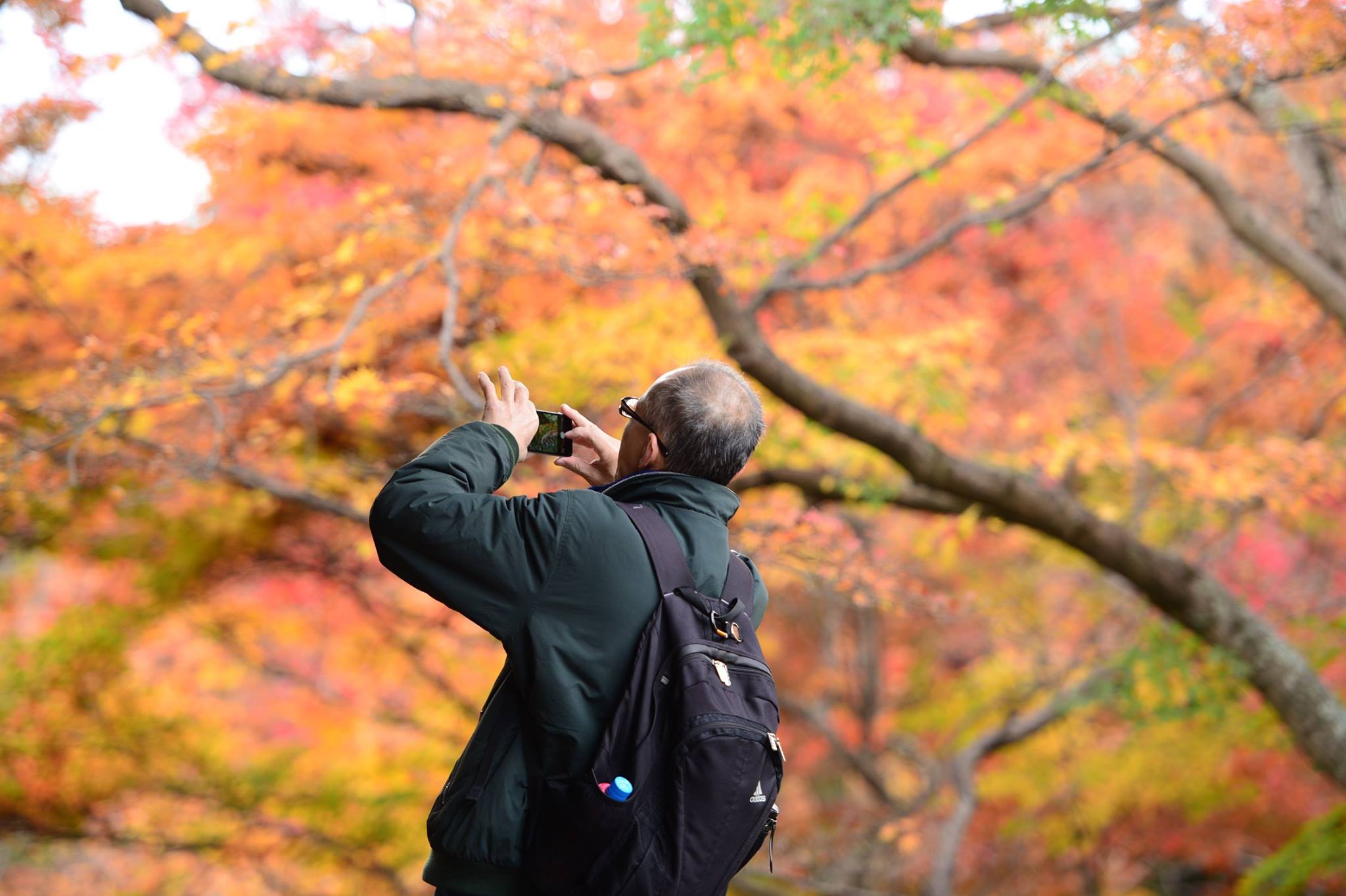 19477487_1813851852277138_7430669676410843937_o