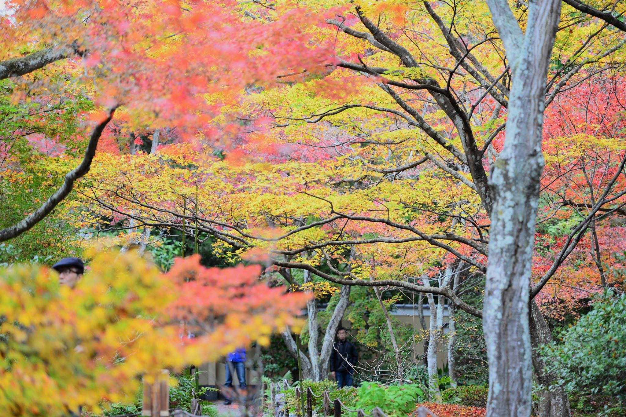 19477696_1813851668943823_1984735256318797301_o