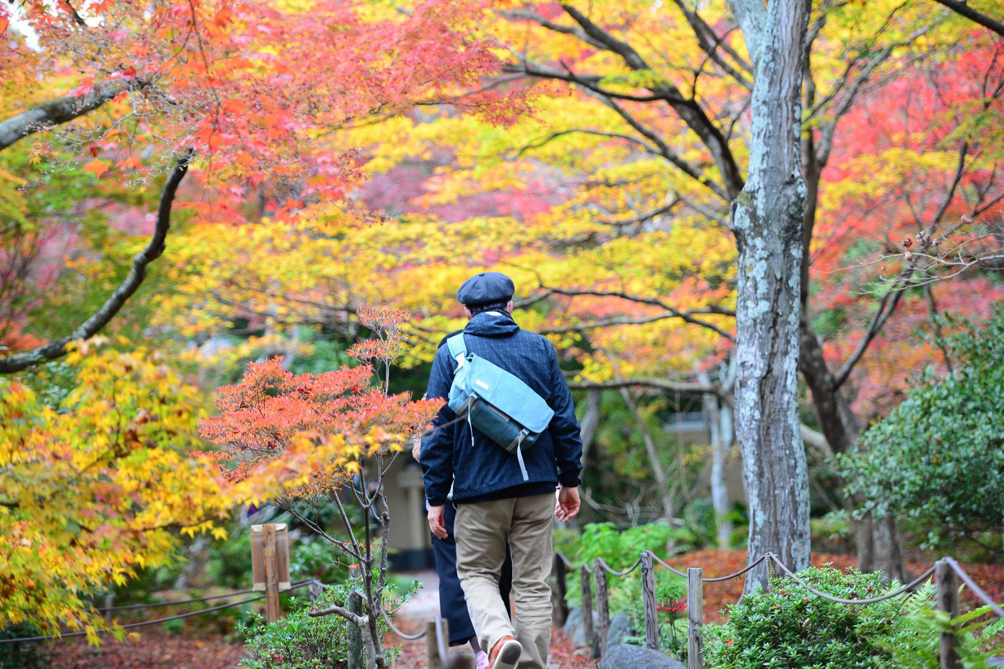 19488549_1813851725610484_3439693965658414280_o