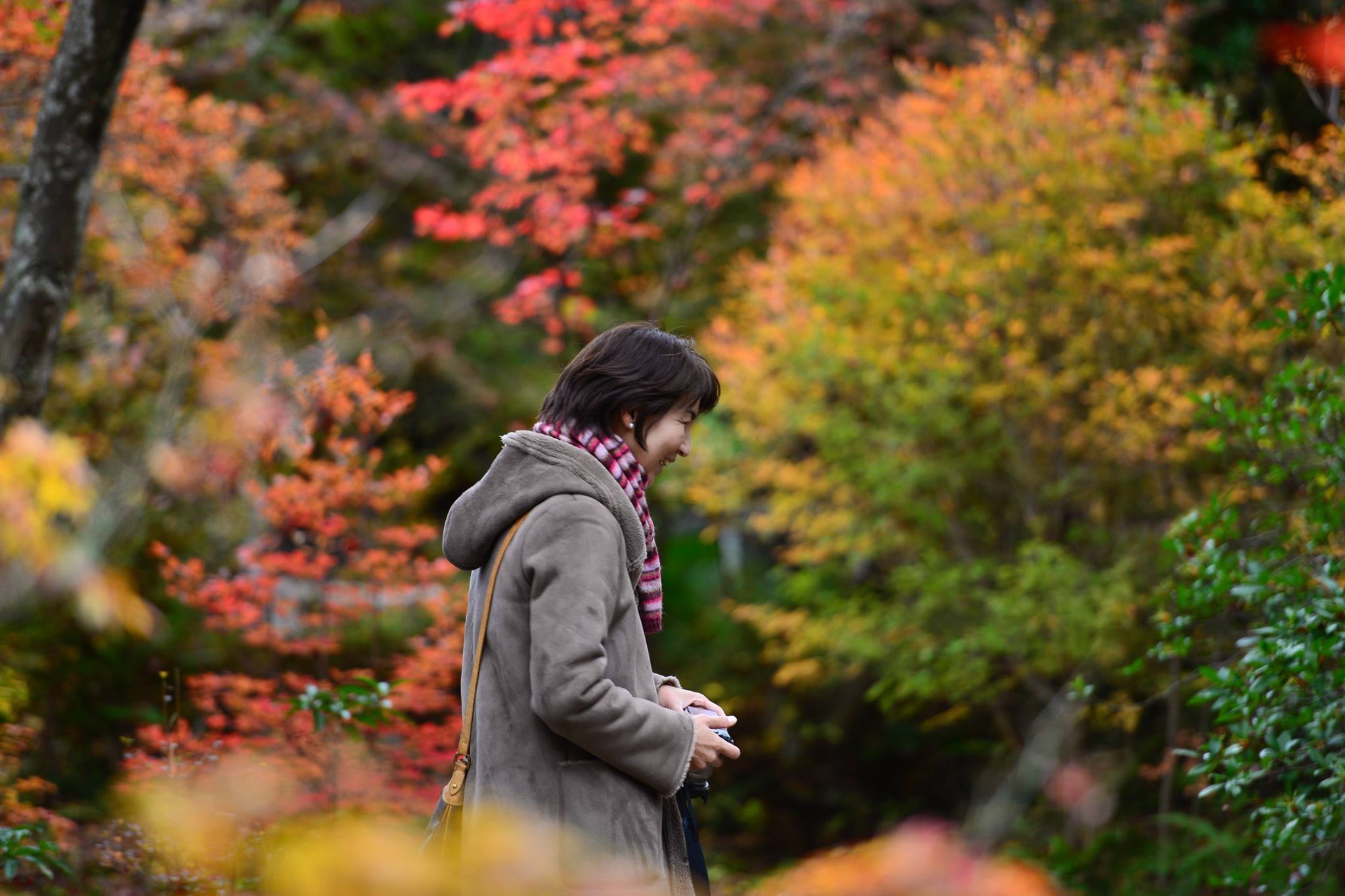 19488665_1813852278943762_2826314661088043170_o