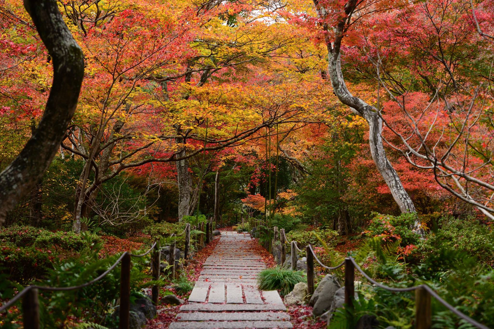 19620292_1813852058943784_4887134875316625477_o