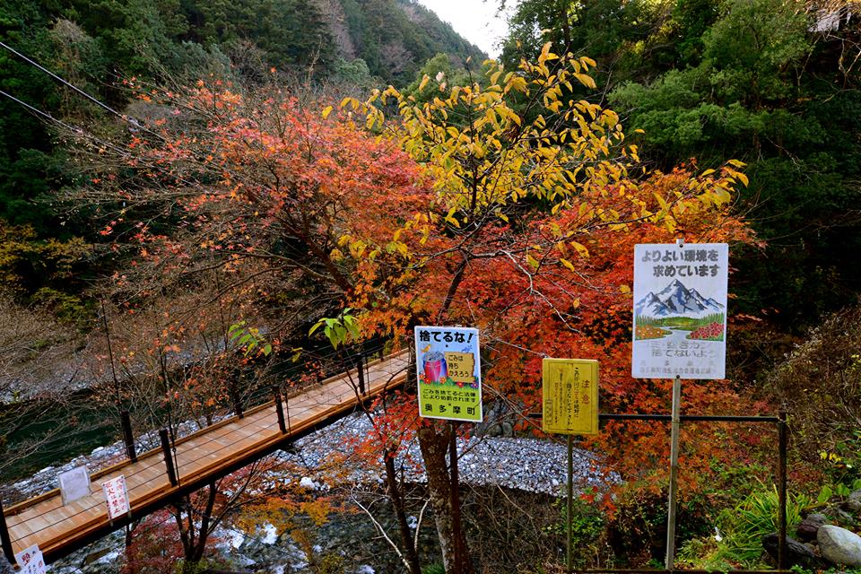 o0f4x6970dqL18NITAu-o