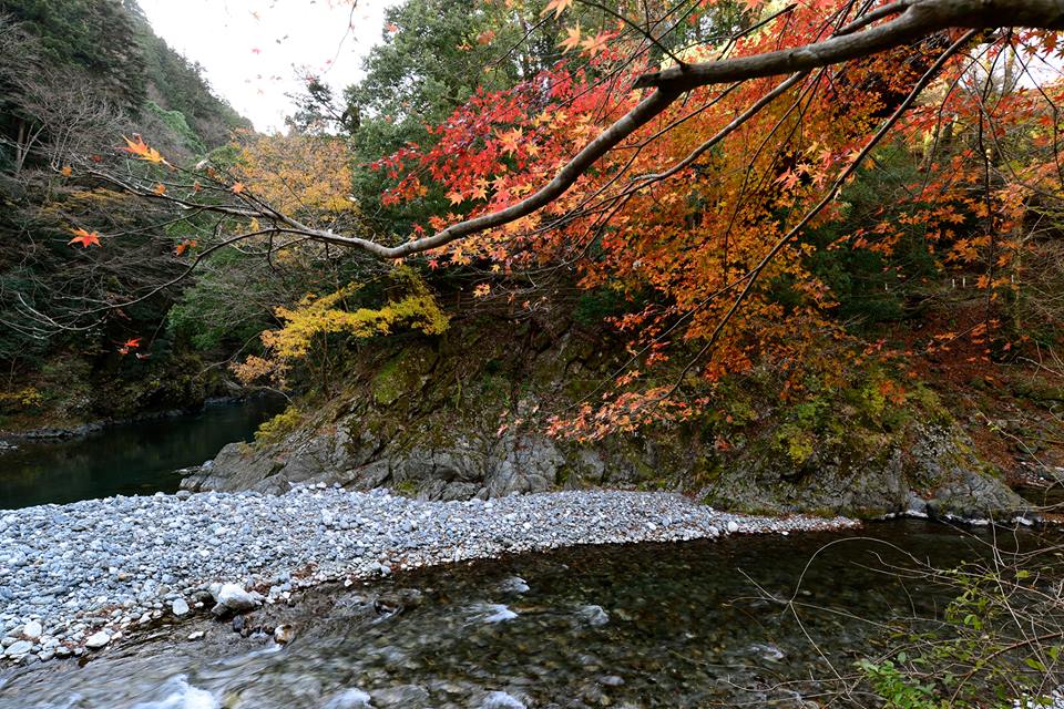 o0f55i5lcWH8yeRn8Af-o