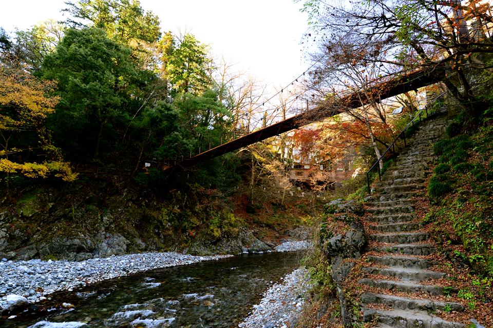 o0f56yvzgdU08hTJhA9-o (1)