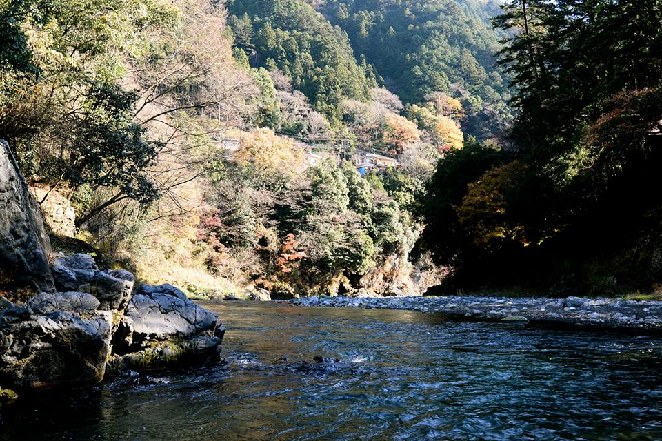 o0f5a434wU4MqlDZ4Br-o