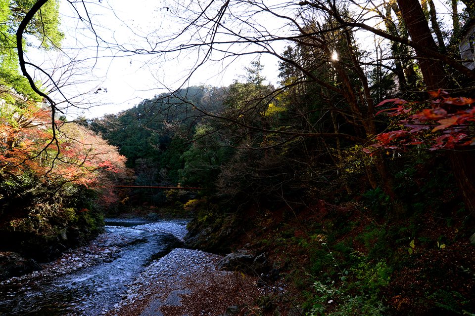 o0f5hpmcxXKqVoGhx1L-o