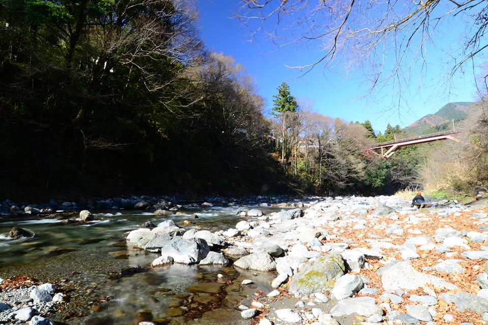 o0f5vqnptSEo4p0seVX-o