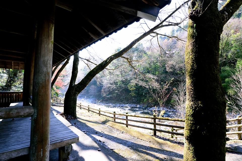 o0f5wzim3V6GRkTgsSS-o