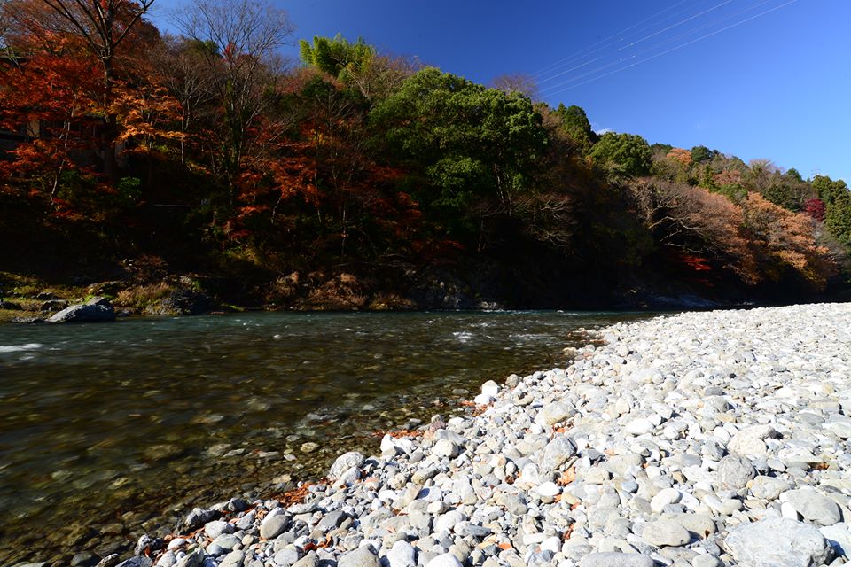 o0f6jbnqbp1gzDWz7B4-o