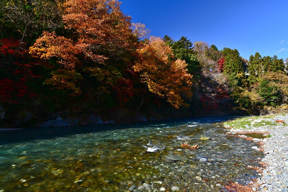 o0f6ko5svO3QnnU6nTA-o