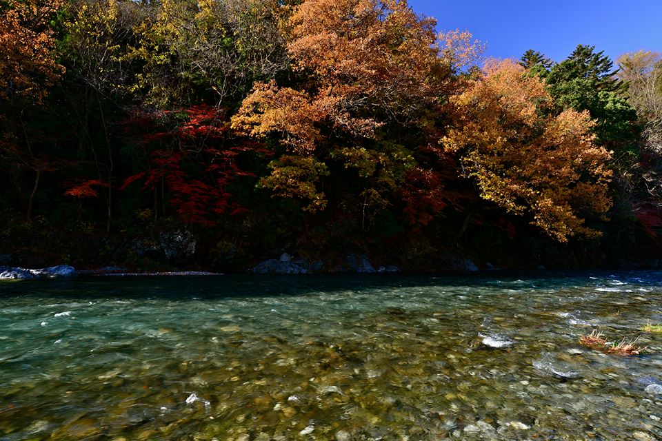 o0f6mmlteiPWkRwxo1A-o