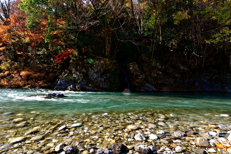 o0f6of9dktqG1vhq8MC-o