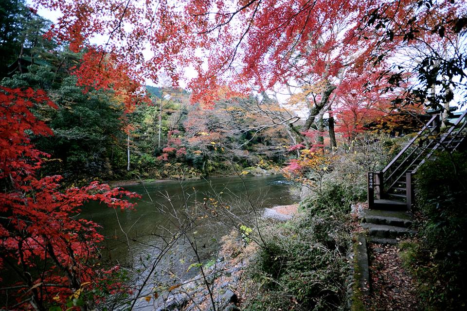 o0f7cnimwfJolLgYy15-o