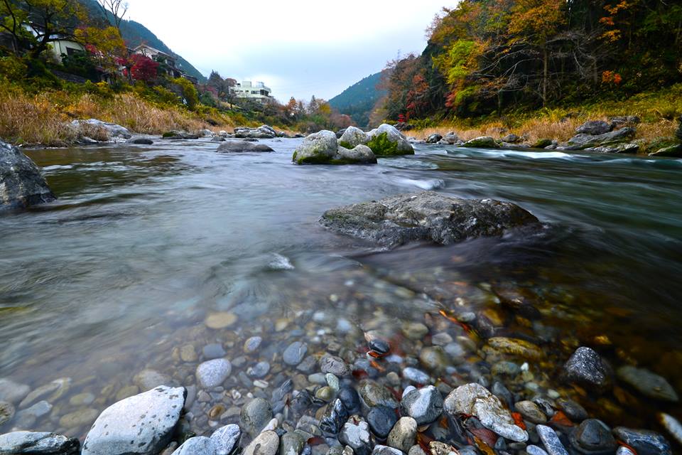 o0f7iarc0ecFccb6fpe-o