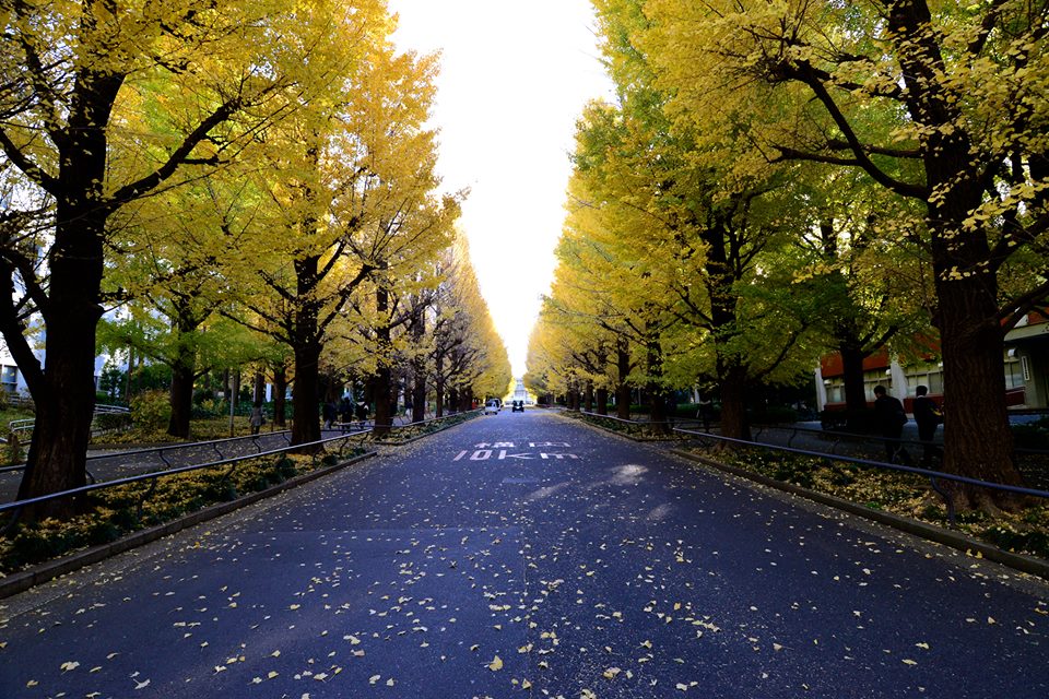 o1nneko67aMtlGdOG35-o