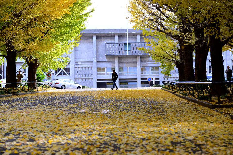 o1nngtgh99EU913kRh2-o