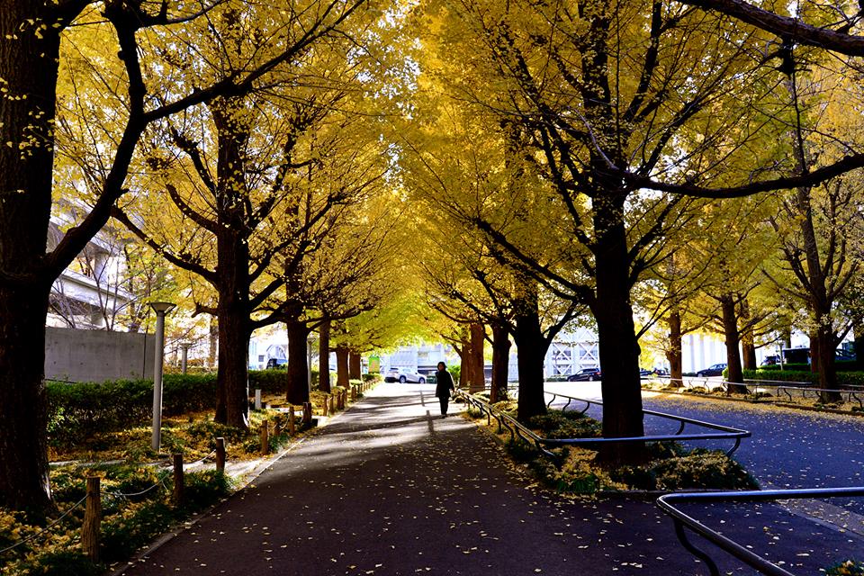 o1nnmewzcyS14mTXBfH-o