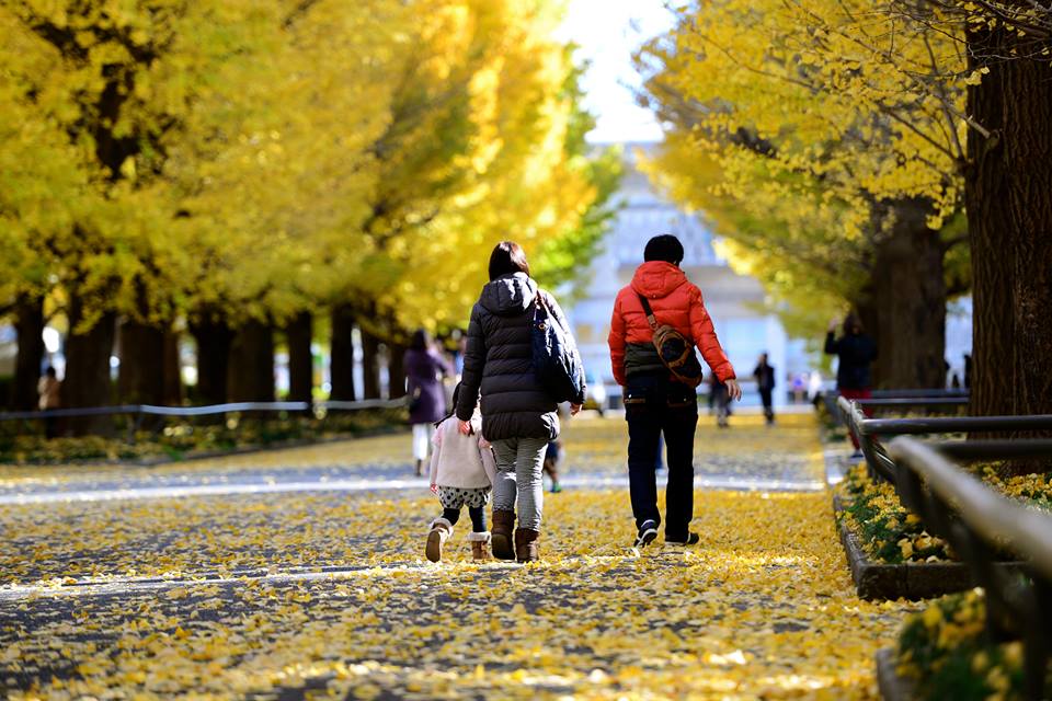 o1nnrkox83QjB9hnJ2P-o