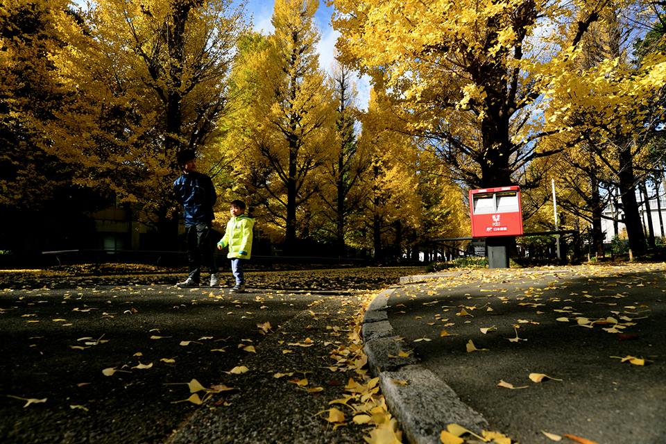 o1nns0kvmBIEuQFxERk-o (1)