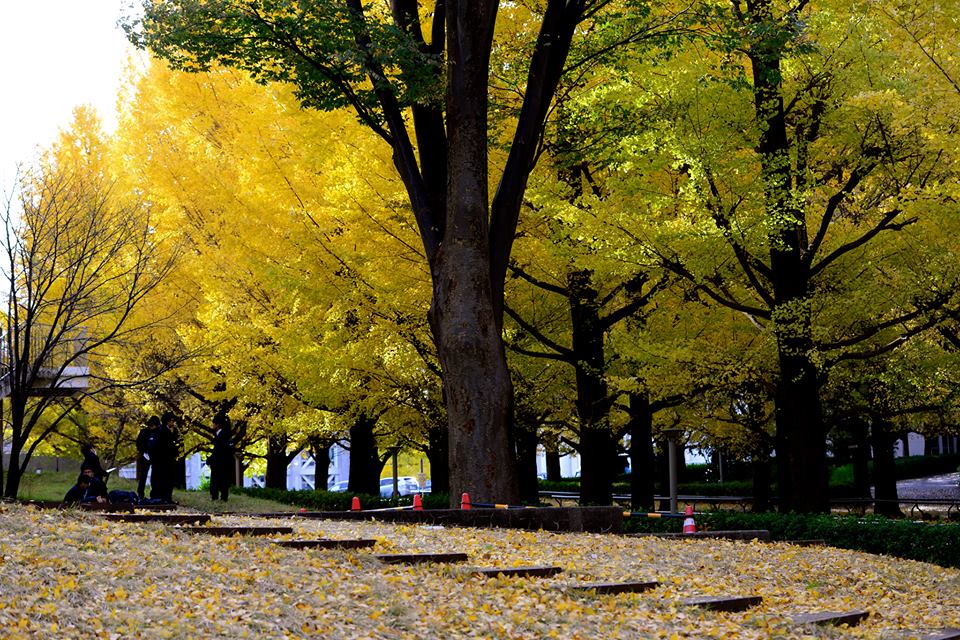 o1nnugkxhsO8TsWqqSv-o