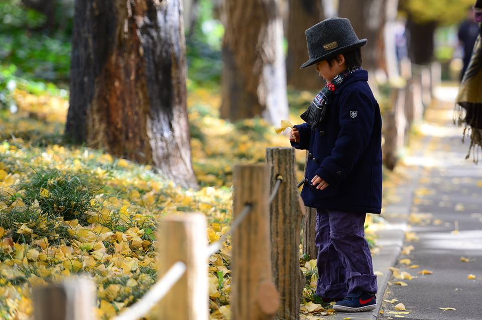 o1nnvsnrj05DLfrHcPy-o