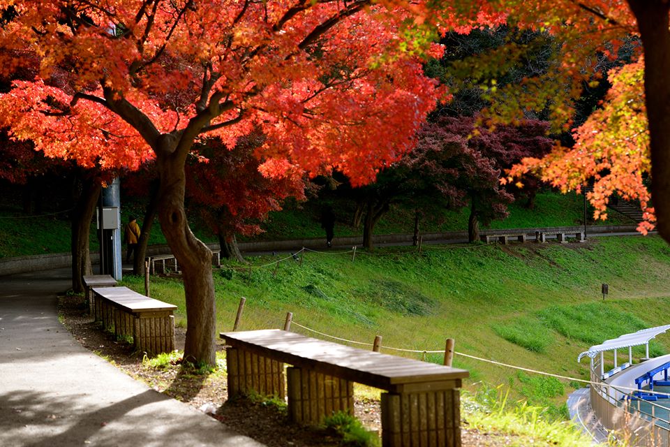 o1nnyd6hxjMsmz8jpui-o