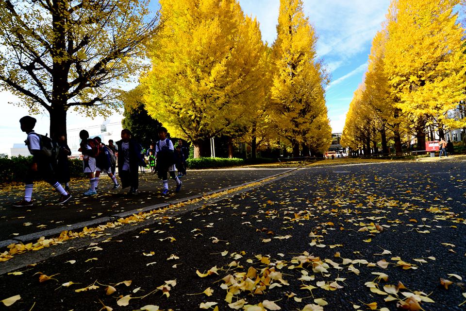 o1no6r6m0FKeN1g48d2-o