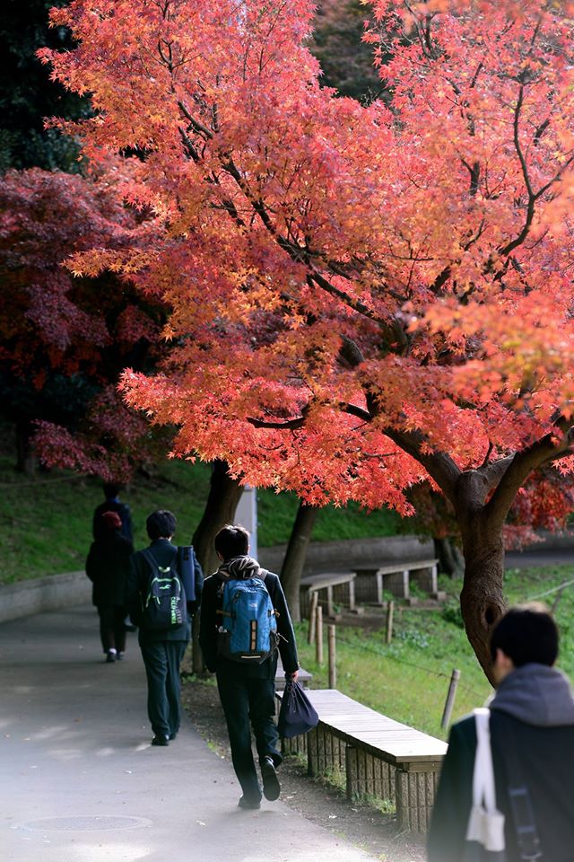 o1noc16ocfsbzNCnZeX-o